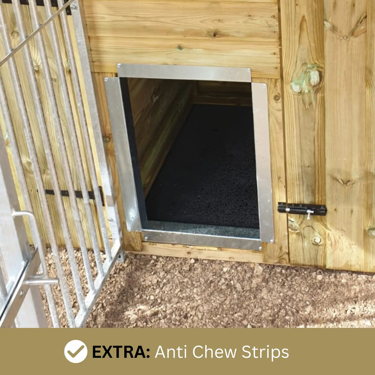 10 x 8ft Single Dog Kennel –  Professional Installation Included